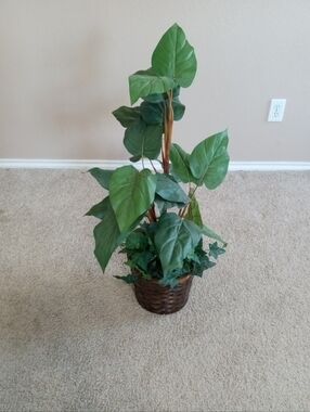 GORGEOUS Faux Alocacia Large Foliage 33" Tall Plant in Wicker Basket